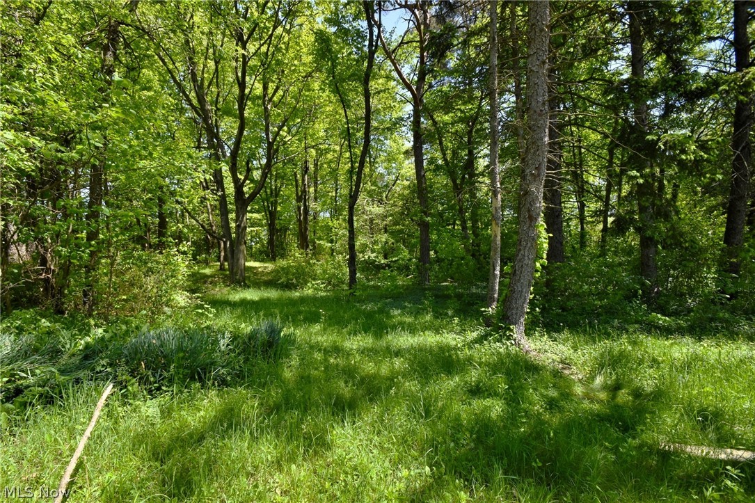 Janell Drive - Residential