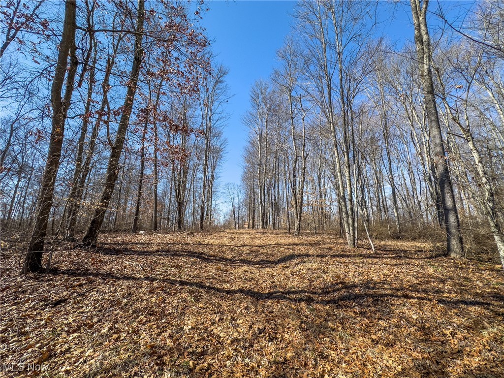 Haas Drive, Stockport, Ohio image 4