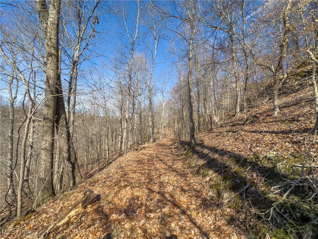Haas Drive, Stockport, Ohio image 15