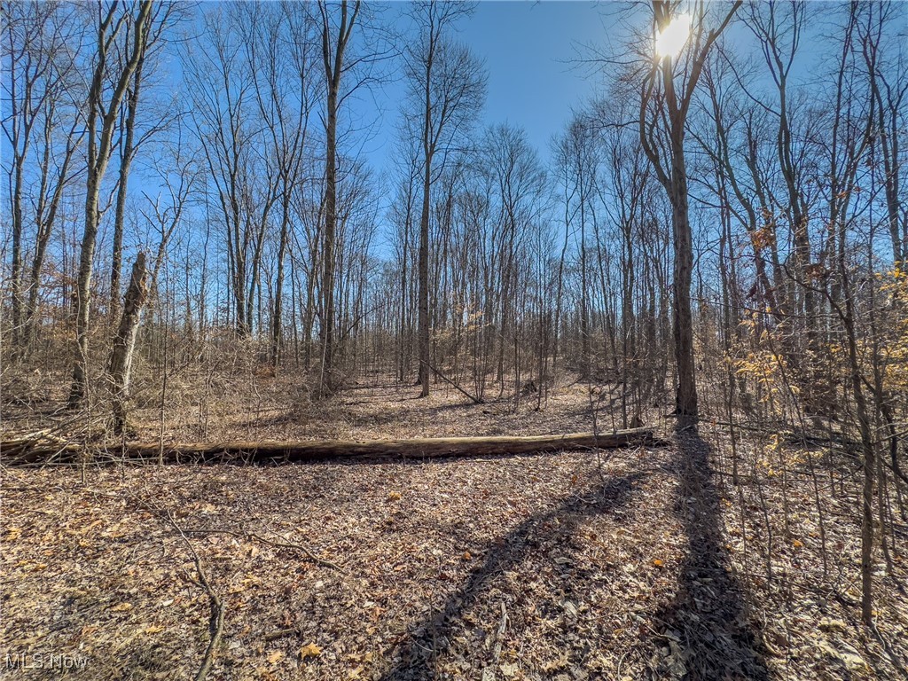 Haas Drive, Stockport, Ohio image 22