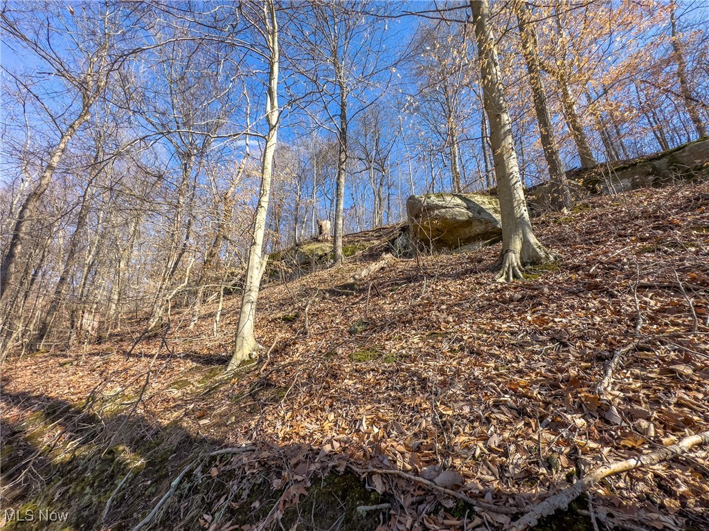 Haas Drive, Stockport, Ohio image 14