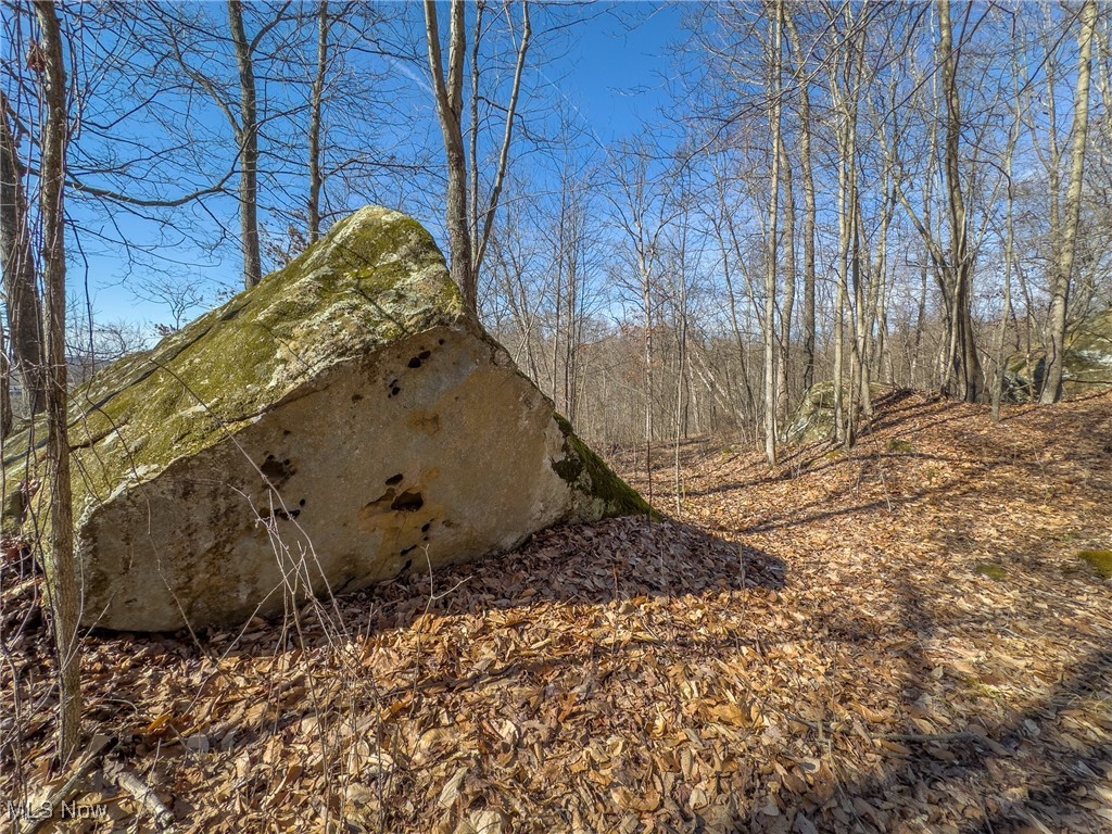 Haas Drive, Stockport, Ohio image 18
