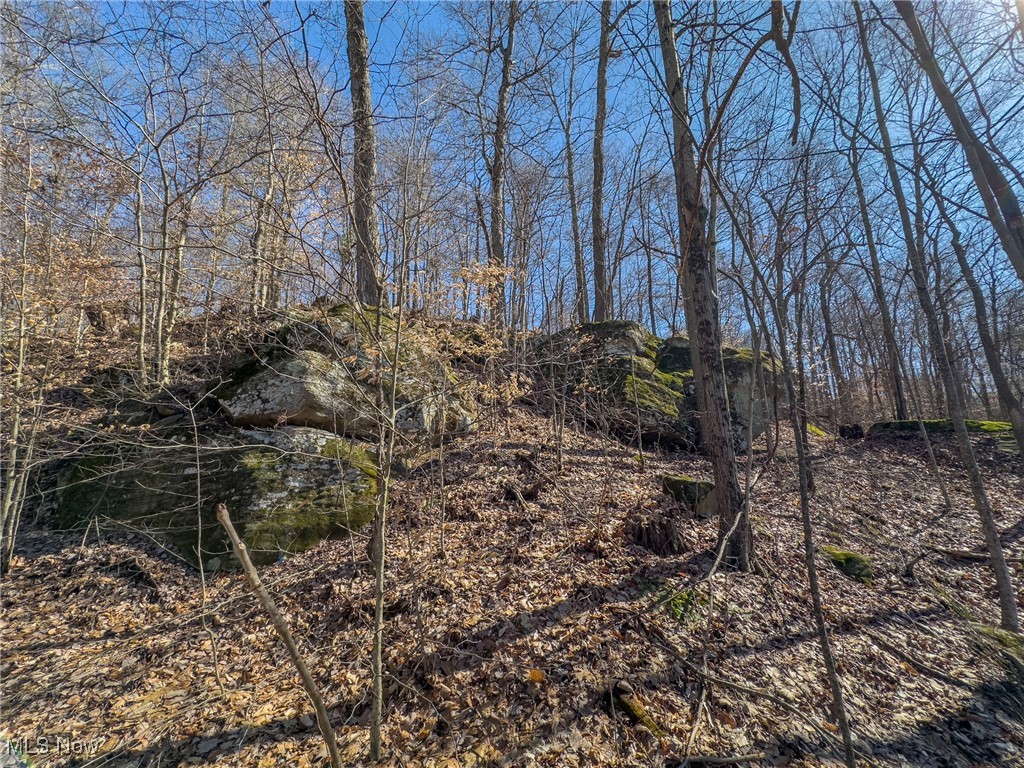 Haas Drive, Stockport, Ohio image 19
