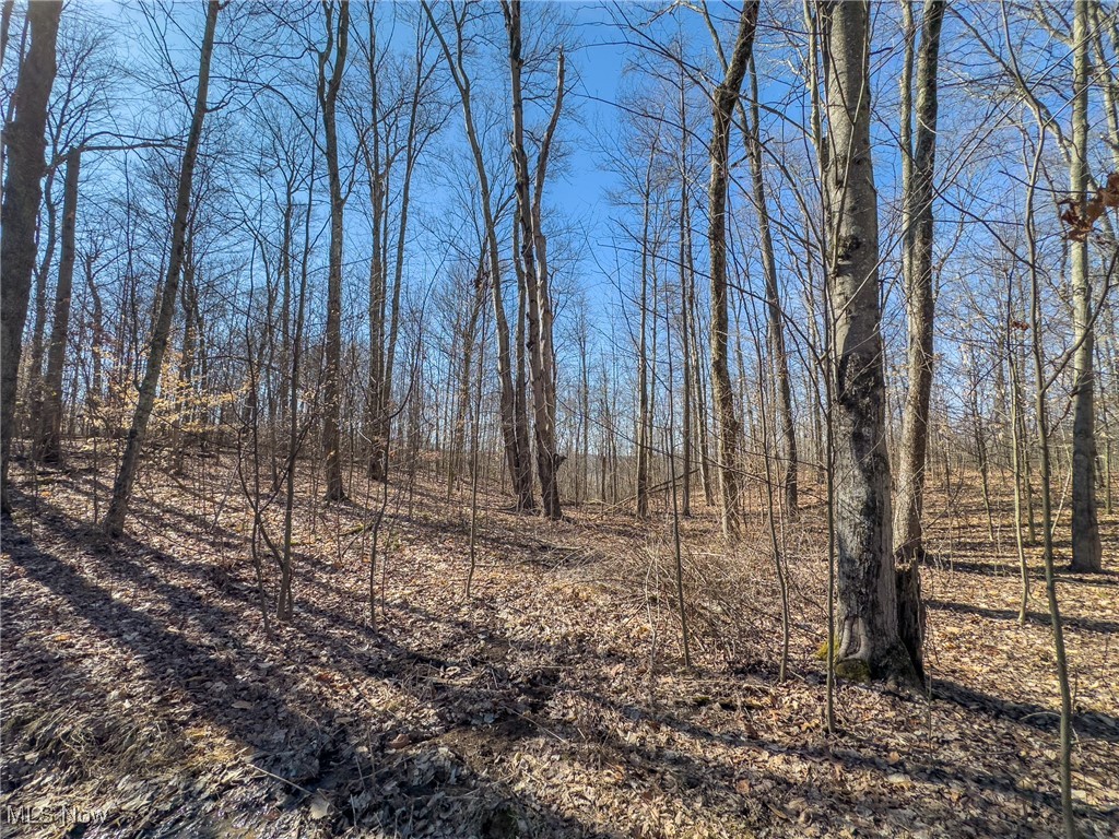 Haas Drive, Stockport, Ohio image 23