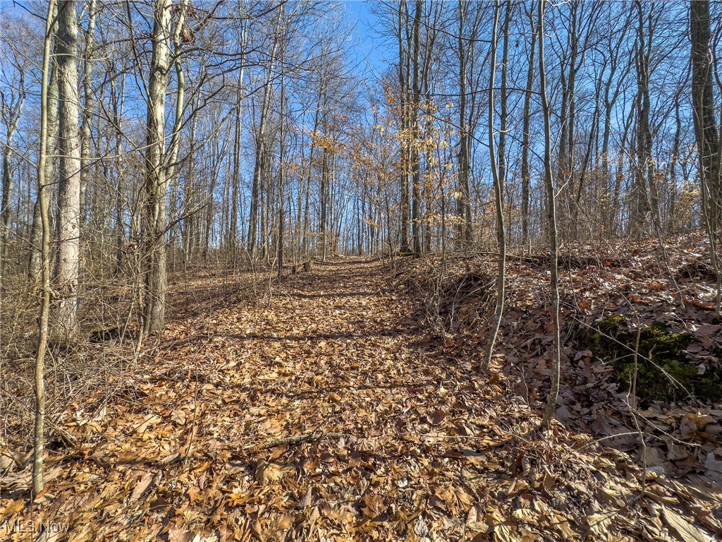 Haas Drive, Stockport, Ohio image 21