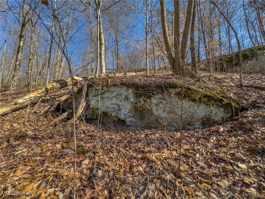 Haas Drive, Stockport, Ohio image 16