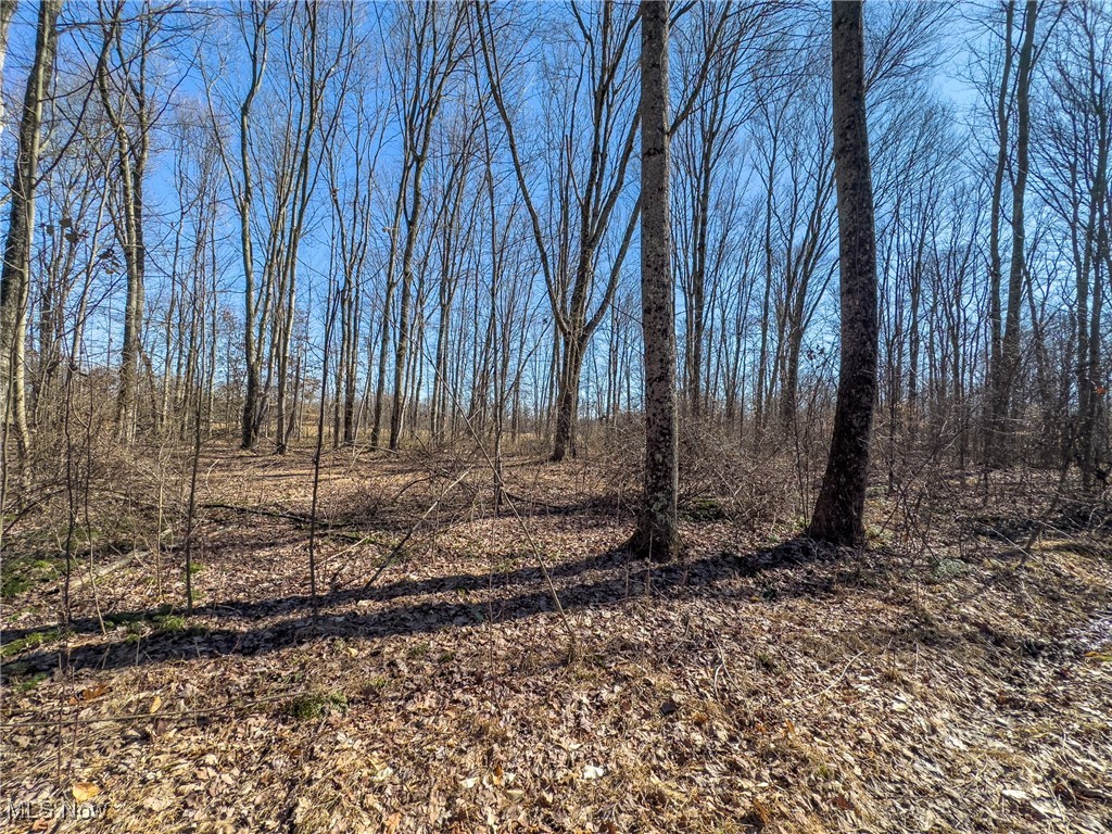 Haas Drive, Stockport, Ohio image 24