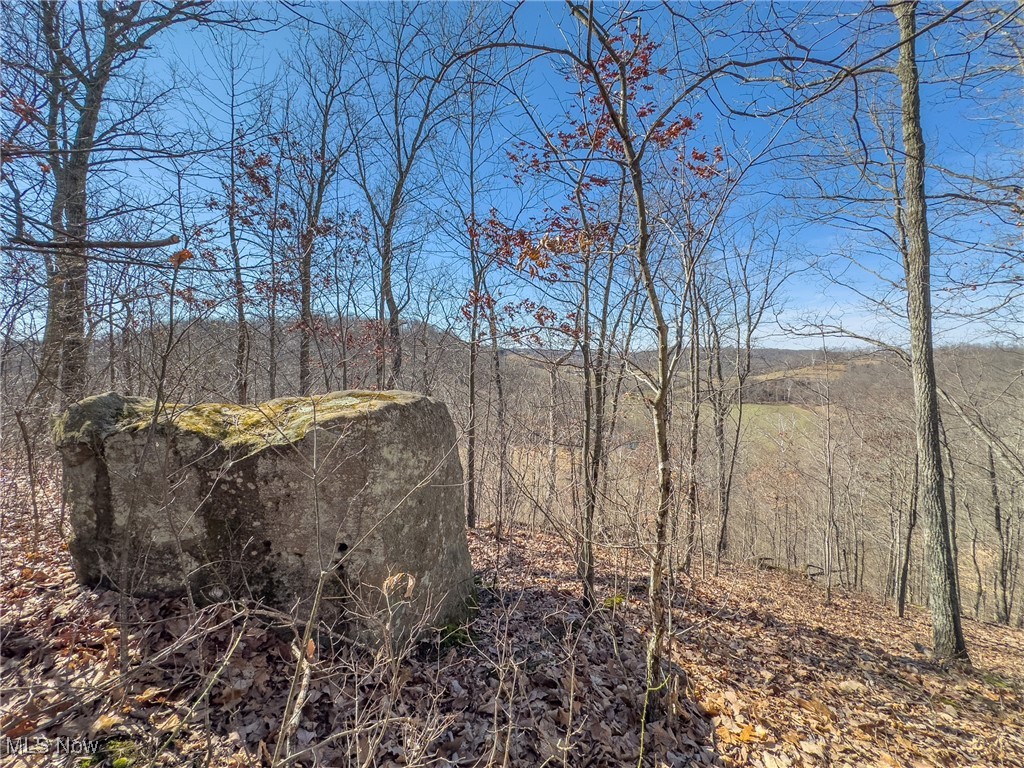 Haas Drive, Stockport, Ohio image 10