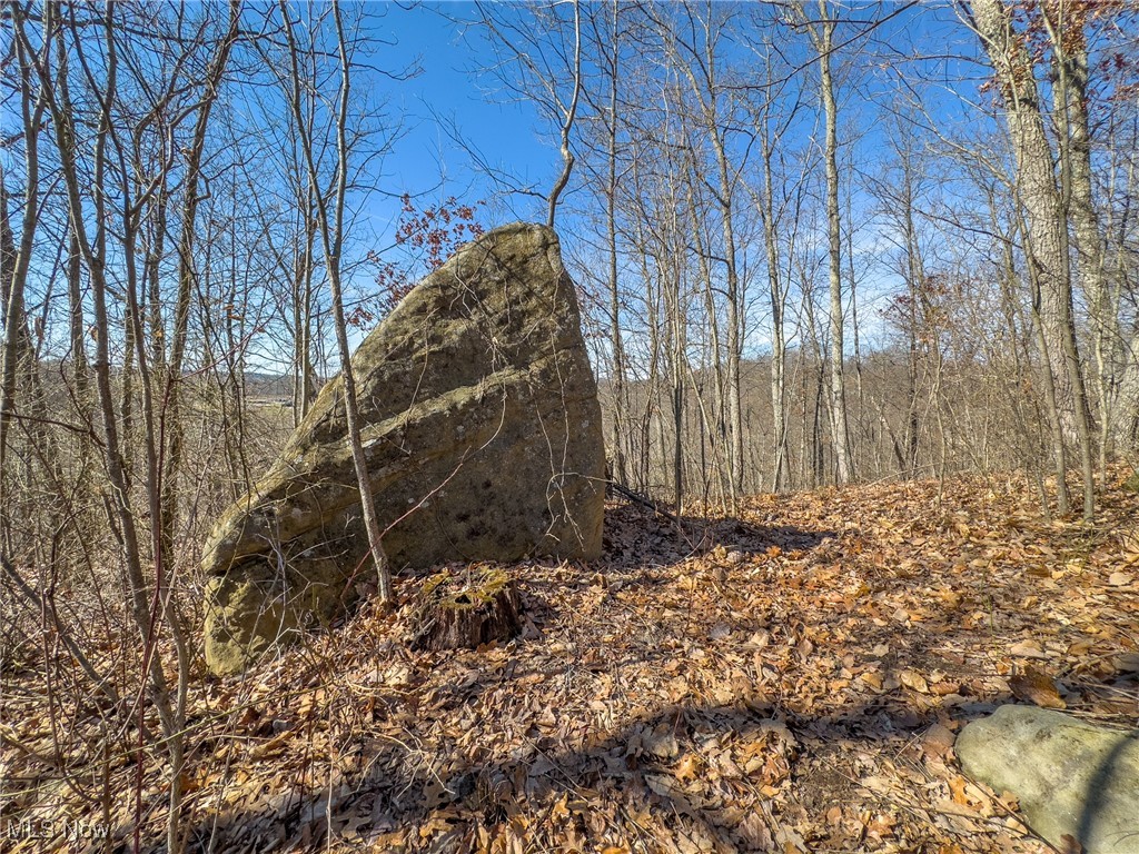 Haas Drive, Stockport, Ohio image 9