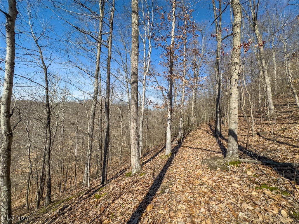 Haas Drive, Stockport, Ohio image 12