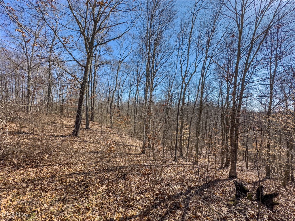 Haas Drive, Stockport, Ohio image 7