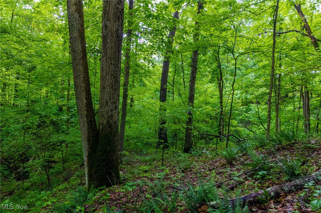 2461 Peters Creek Road, Cambridge, Ohio image 34