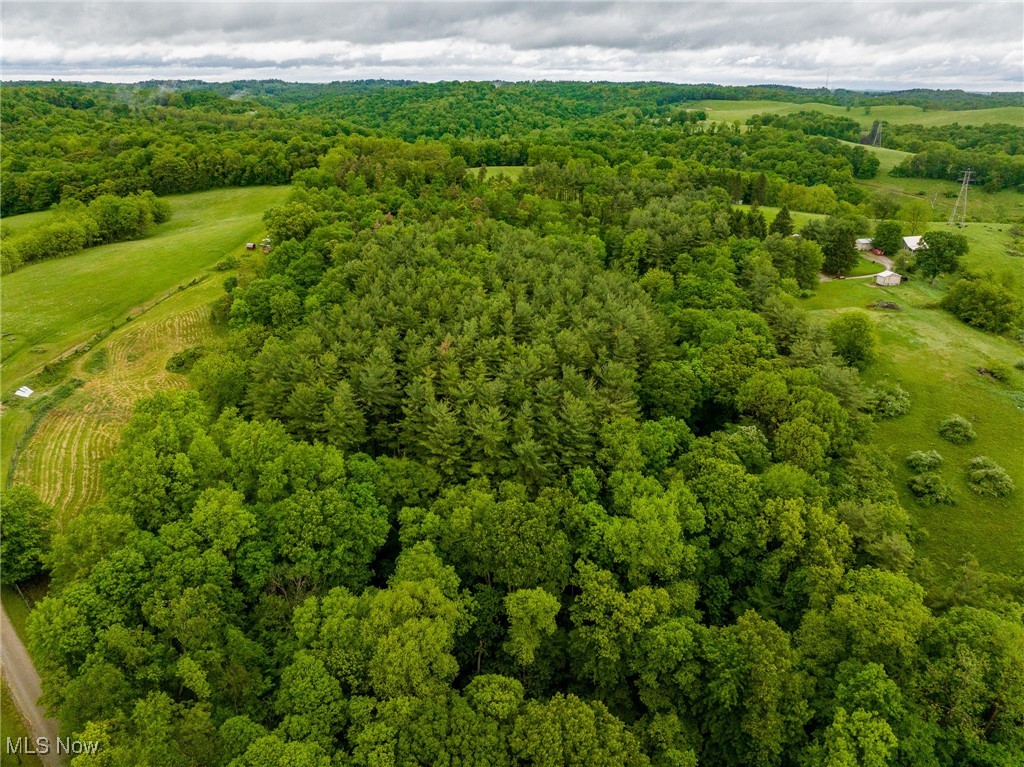 2461 Peters Creek Road, Cambridge, Ohio image 41