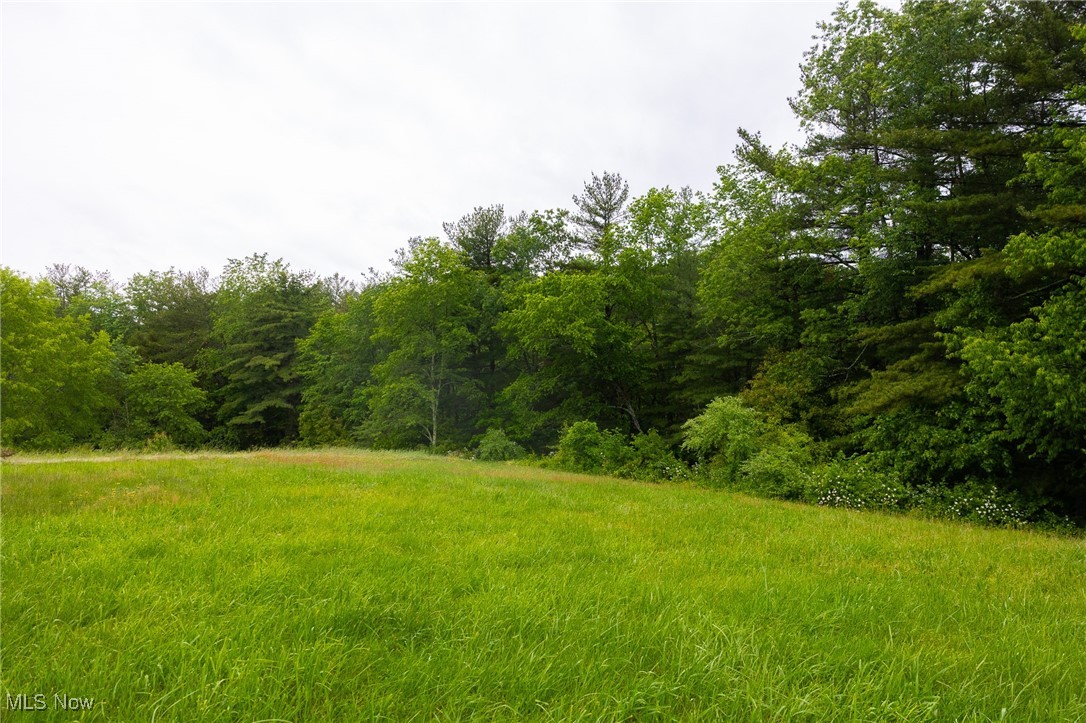 2461 Peters Creek Road, Cambridge, Ohio image 23