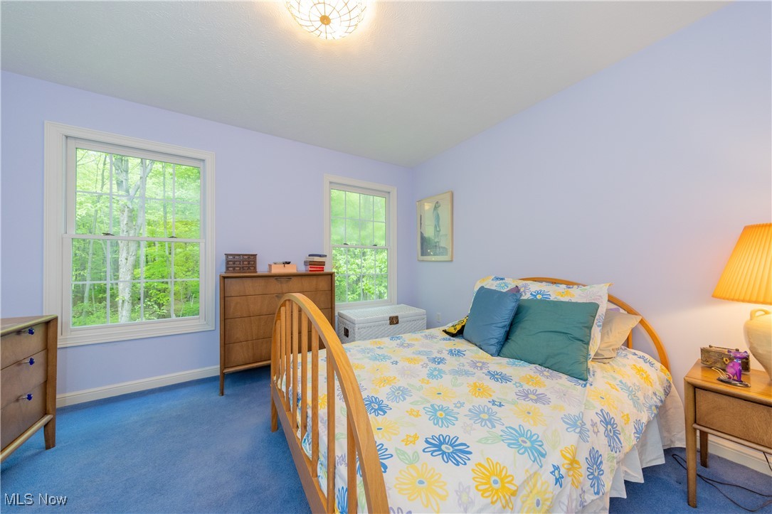 1030 Whisperwood Lane, Aurora, Ohio image 36