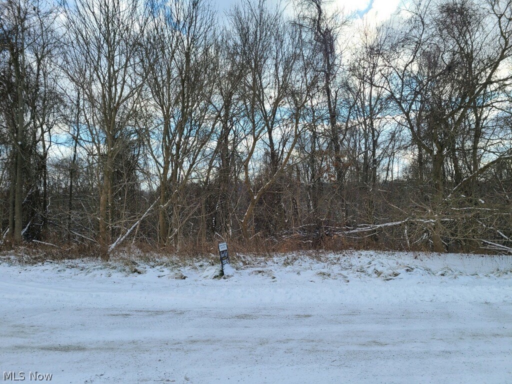 3 Acre Building lot! Nice surrounding area with newer homes down a private lane. This property is treed ready to clear and build. The water and electric is underground and ready to tap into. This area is known as PRESUTTI ESTATES. LOCATION, LOCATION, LOCATION! VERY NEAR I-470, I-70, ST. CLAIRSVILLE MALL AREA but yet you are out and in a very secluded private area. A DREAM for most people looking to build that new home.