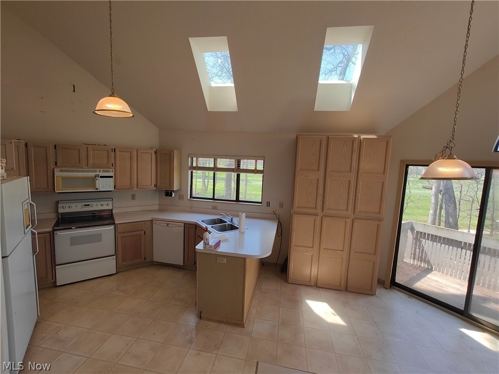 Forest Cove Condo - Residential