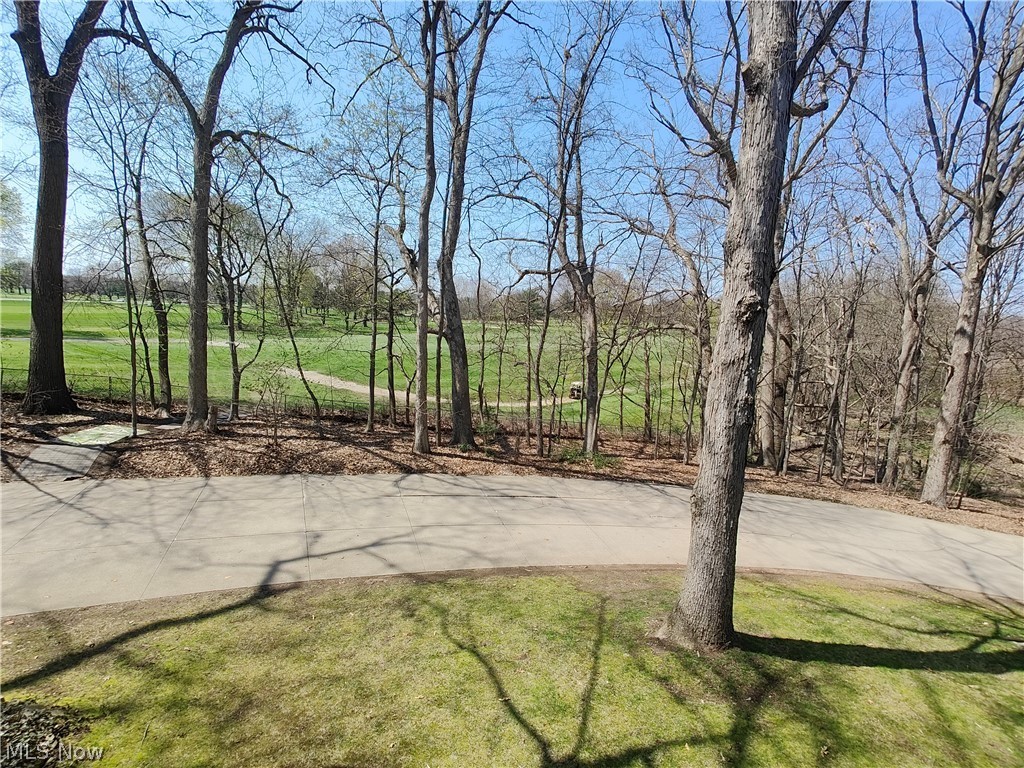 Forest Cove Condo - Residential