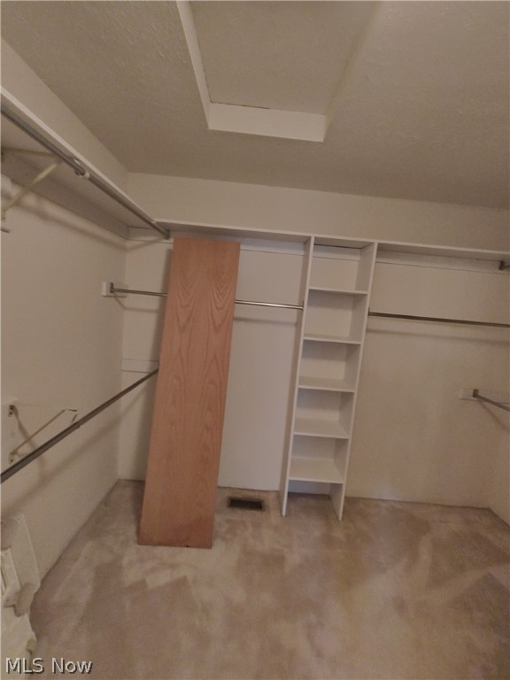 Forest Cove Condo - Residential