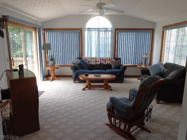 Ridgewood Falls - Residential