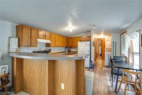 Tiny photo for 12722 Lisbon Street SE, Paris, OH 44669 (MLS # 5221935)