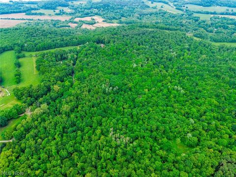 Vacant Land For Sale - Miller Hill Road<br/> Tuscarawas County, Sherrodsville, OH 44678