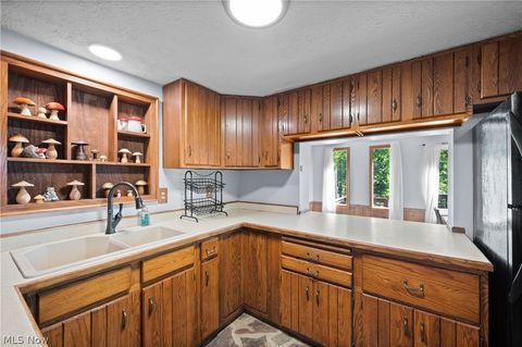 Tiny photo for 842 River Road, Davisville, WV 26142 (MLS # 5210114)