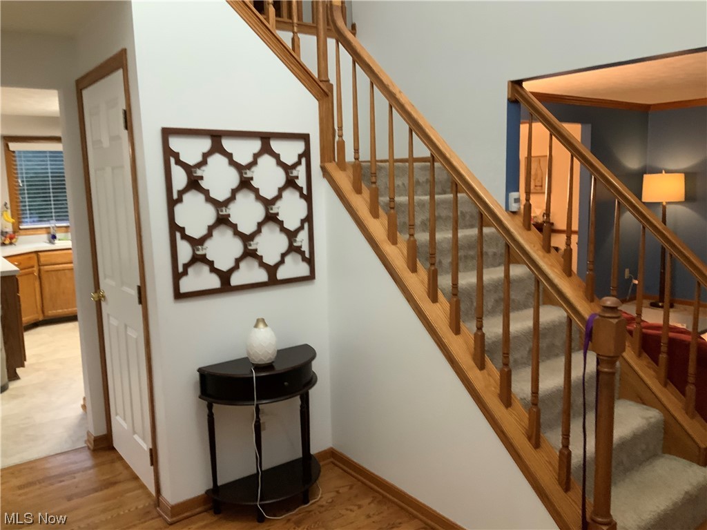 Chestnut Trails - Residential