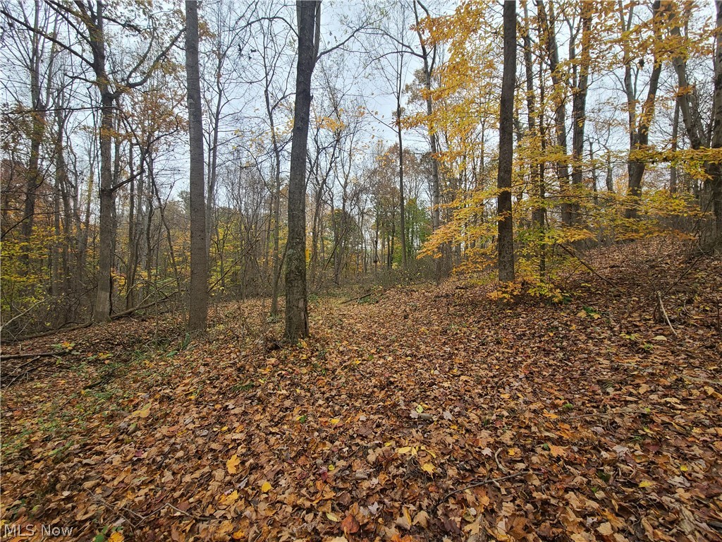 Don't miss this opportunity to own acreage in Vinton County. This property offers 40 acres of beautiful, wooded land and small streams that could be used for hunting, hiking, trail riding, or recreation. Road frontage is available for building sites or consider the option of seclusion. All surface rights and any mineral rights that the seller may own will convey to the new buyer. Conveniently located near Vinton County Schools and just minutes from the village of McArthur. Owner is a licensed real estate agent.