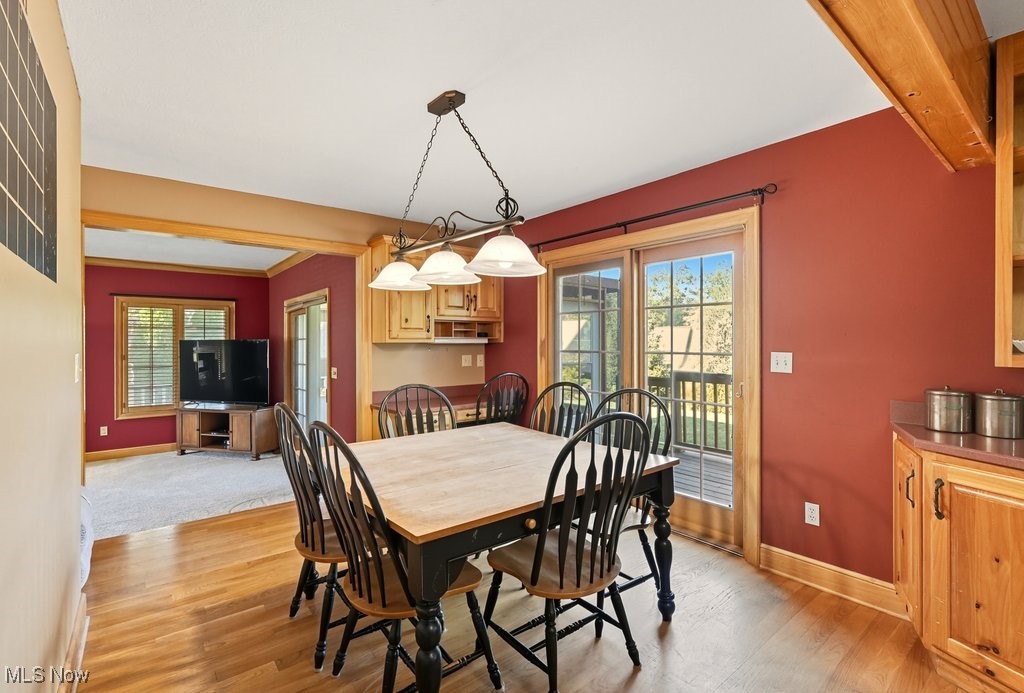 Camden Knolls Allotment - Residential