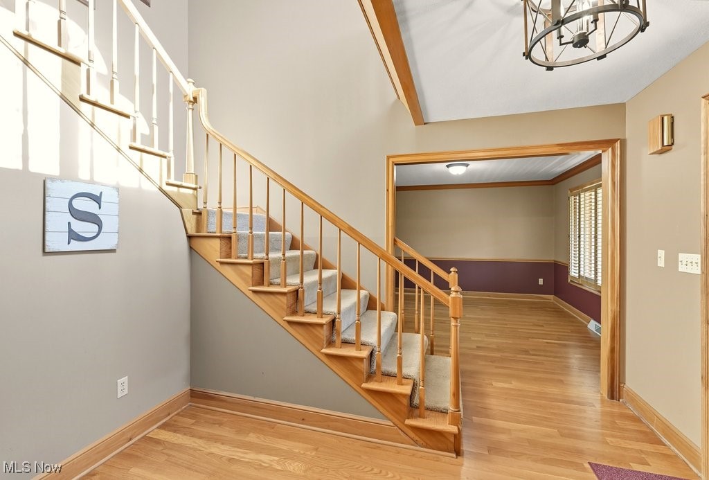 Camden Knolls Allotment - Residential