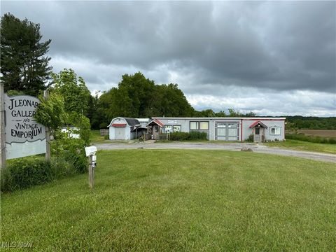 Homes For Sale - 12157 State Route 88<br/> Garrettsville, OH 44231