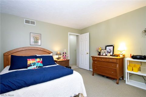 Tiny photo for 40100 Jones Road, Wellington, OH 44090 (MLS # 5201704)