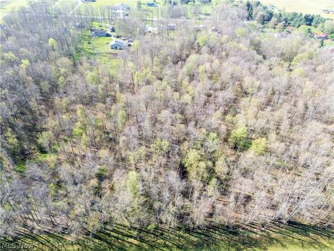 Tiny photo for 40100 Jones Road, Wellington, OH 44090 (MLS # 5201704)