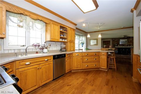 Tiny photo for 40100 Jones Road, Wellington, OH 44090 (MLS # 5201704)