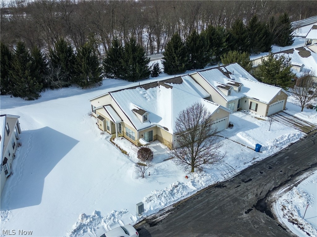 Forest Condo - Residential