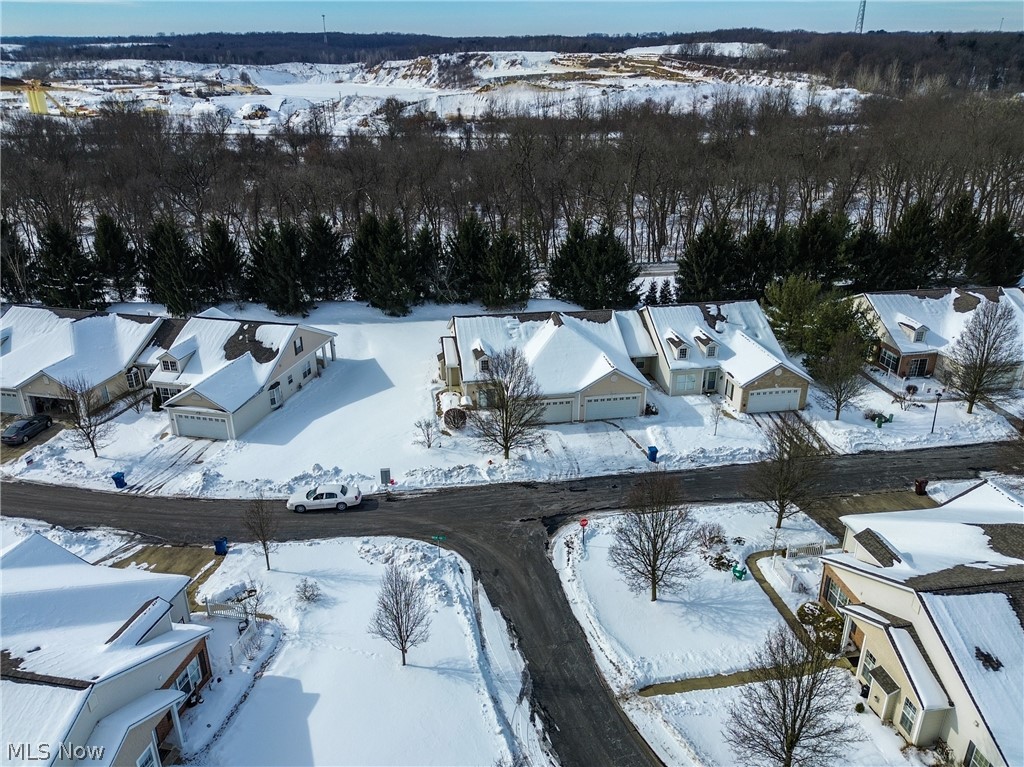 Forest Condo - Residential