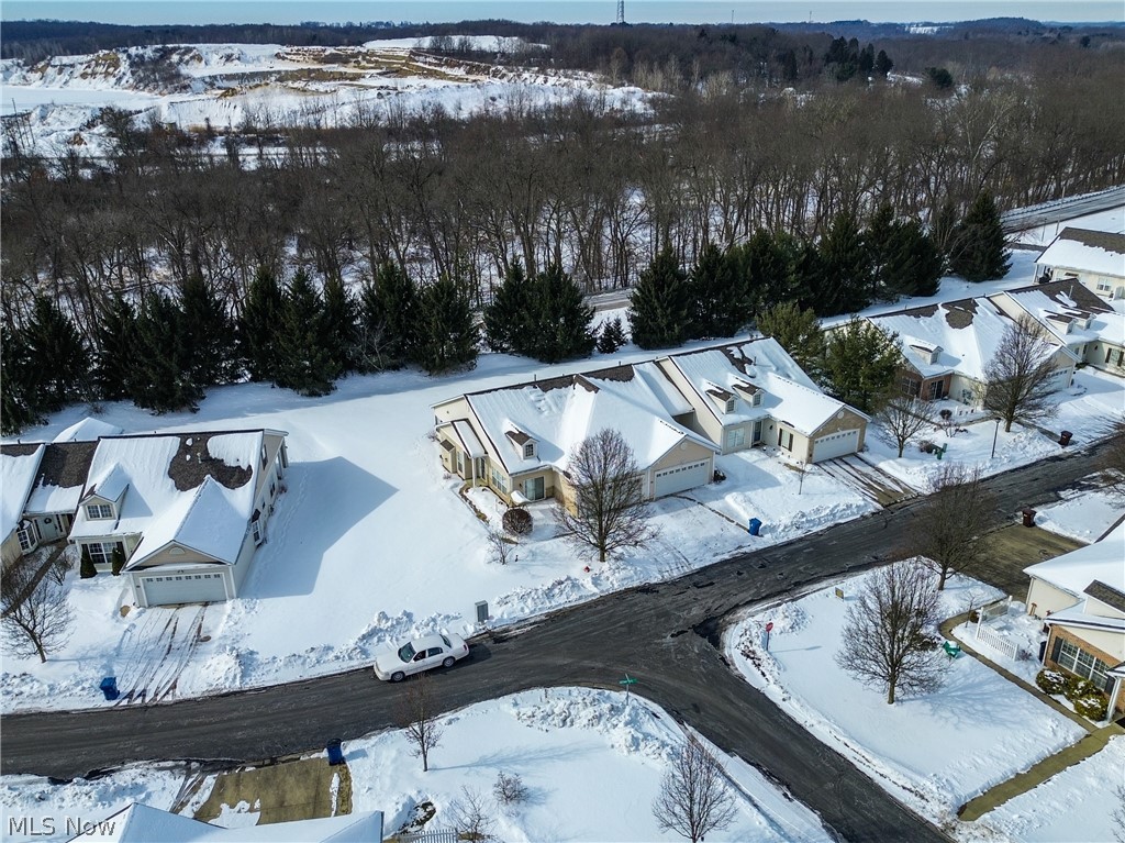 Forest Condo - Residential