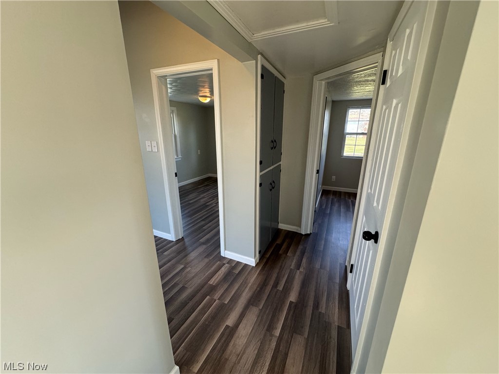 Beechwood Allotment - Residential