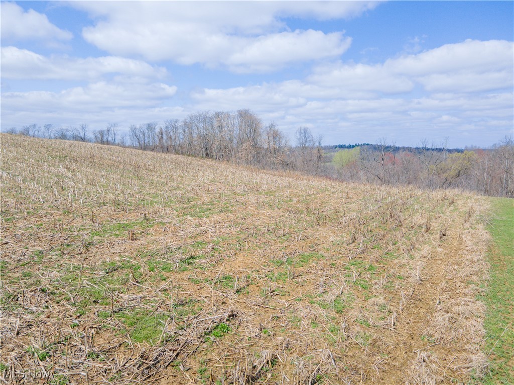 Norfield Road, New Concord, Ohio image 14