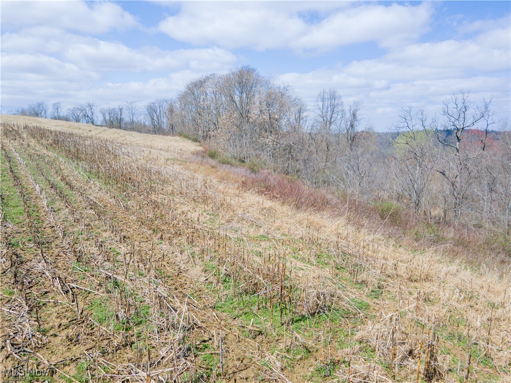 Norfield Road, New Concord, Ohio image 18