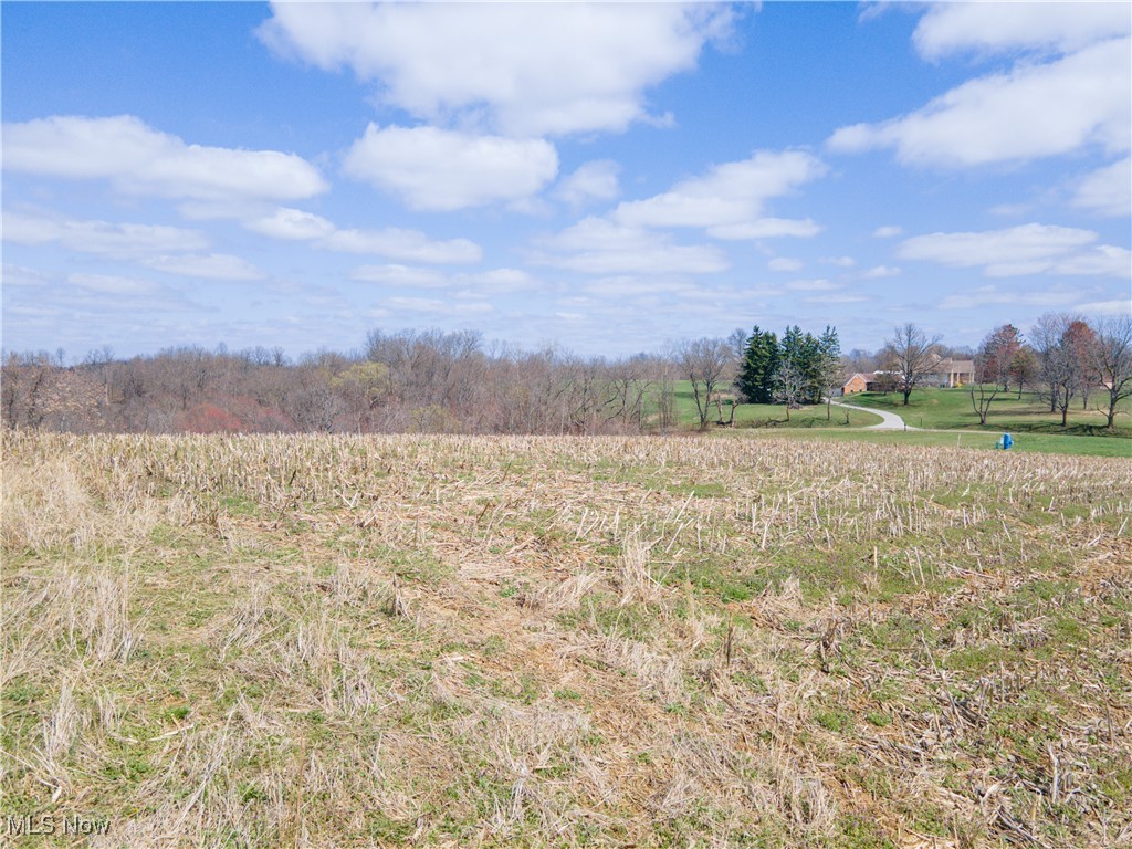Norfield Road, New Concord, Ohio image 15