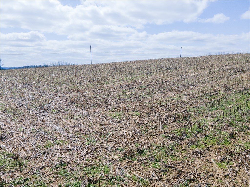 Norfield Road, New Concord, Ohio image 19