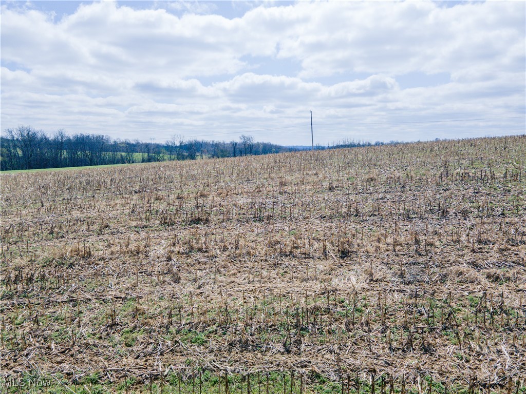 Norfield Road, New Concord, Ohio image 17