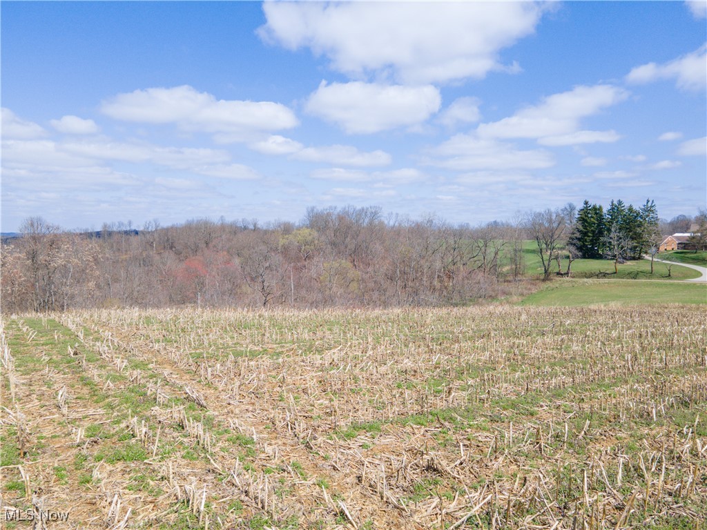 Norfield Road, New Concord, Ohio image 16