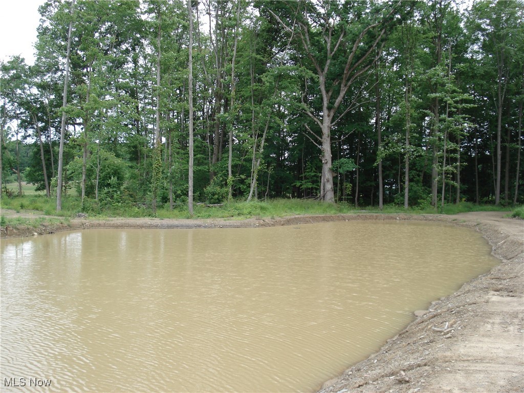 Beautiful country setting not far from town. This 10+ acre property features a newly installed driveway, pond and cleared area for future home site. It also features 2 additional ponds, shooting range and woods with mature tees. Perfect for the avid outdoorsmen!!!!!!! Pond is set-up for water system and perk test is done and septic is designed + ready for installation.