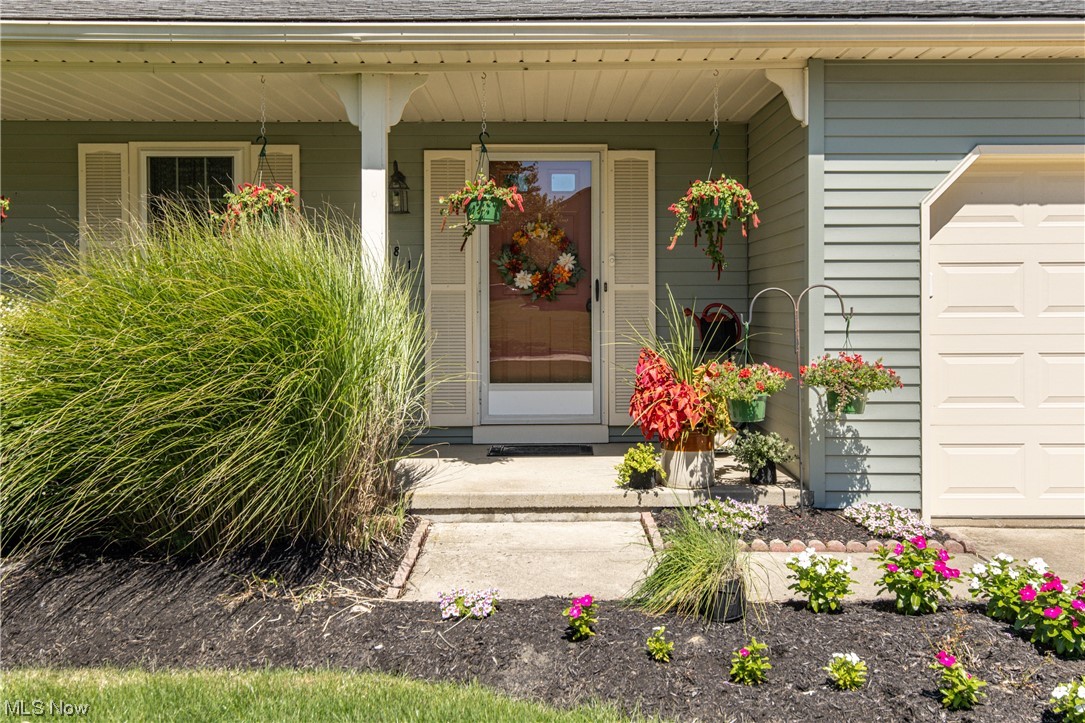 South Point Meadows - Residential