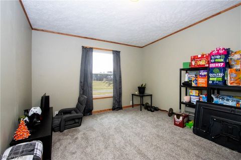 Tiny photo for 643 County Road 40, Sullivan, OH 44880 (MLS # 5187784)