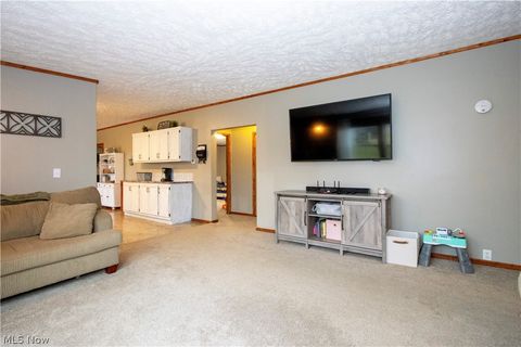 Tiny photo for 643 County Road 40, Sullivan, OH 44880 (MLS # 5187784)