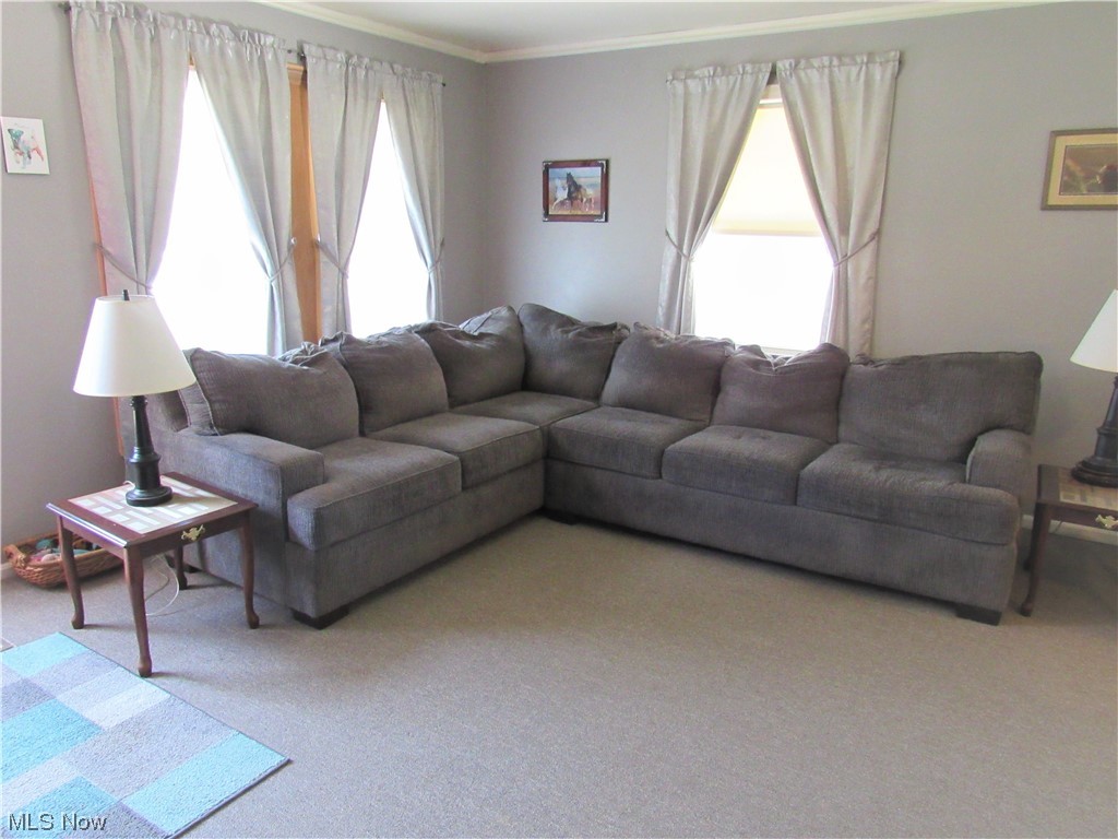 Merrick Kleist Puritas Gardens Su - Residential